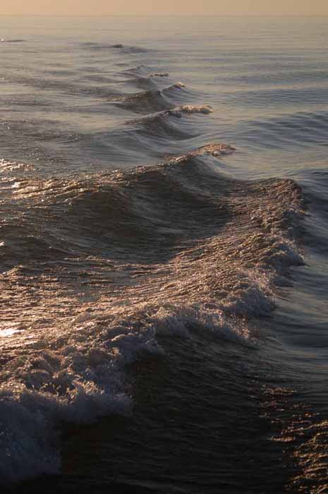 waves from the boat